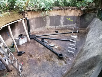 Papiliorama Kerzers, Projekt: Jungle Trek, Koi Center Seeland