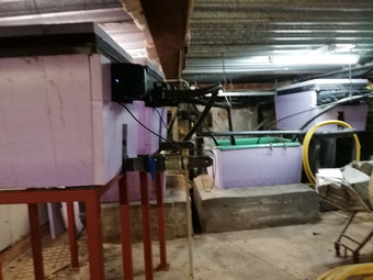 Papiliorama Kerzers, Projekt: Jungle Trek, Koi Center Seeland