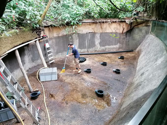 Papiliorama Kerzers, Projekt: Jungle Trek, Koi Center Seeland