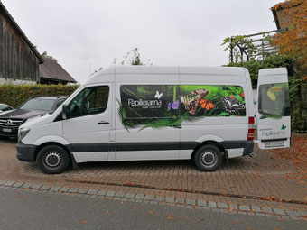 Papiliorama Kerzers, Projekt: Jungle Trek, Koi Center Seeland